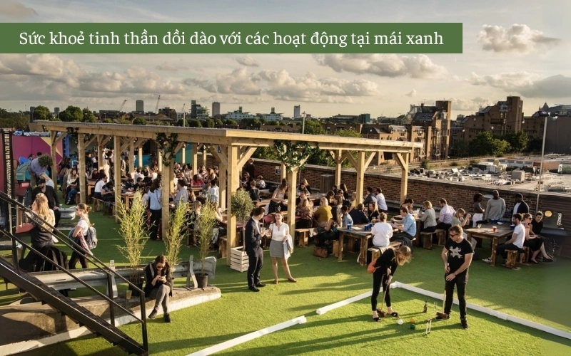 Vườn trên mái là gì? 11 Lợi ích nâng tầm giá trị căn nhà của bạn